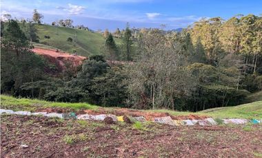 Venta de lote campestre unidad cerrada el retiro Antioquía