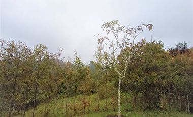 Lote En Venta El Retiro Antioquia Via A Platanillo