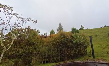 Lote En Venta El Retiro Antioquia Via A Platanillo