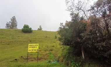 Lote En Venta El Retiro Antioquia Via A Platanillo