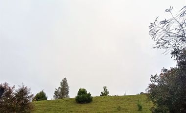 Lote En Venta El Retiro Antioquia Via A Platanillo