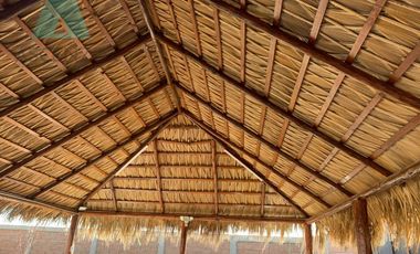 Venta de Rancho Agrícola por Cd. de Meoqui, Artbol
