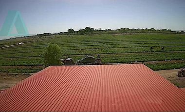 Venta de Rancho Agrícola por Cd. de Meoqui, Artbol