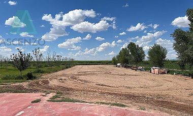 Venta de Rancho Agrícola por Cd. de Meoqui, Artbol
