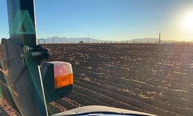 Venta de Rancho Agrícola por Cd. de Meoqui, Artbol