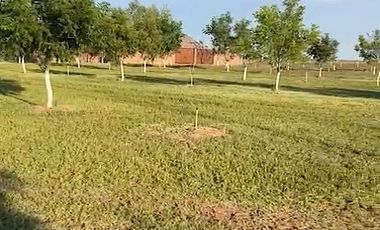 Venta de Rancho Agrícola por Cd. de Meoqui, Artbol