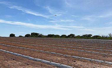 Venta de Rancho Agrícola por Cd. de Meoqui, Artbol