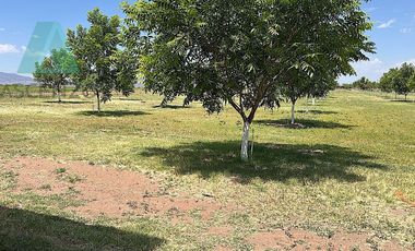 Venta de Rancho Agrícola por Cd. de Meoqui, Artbol
