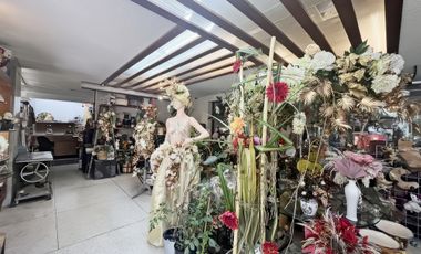 Local en Venta en Polanco (m2lc1045)