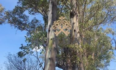 HURBAN VENDE rancho/granja al sur de Aguascalientes.