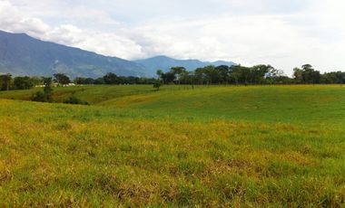 VENTA FINCA RESTREPO META. 19 HECTAREAS, CASAS, PISCINA