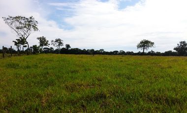 VENTA FINCA RESTREPO META. 19 HECTAREAS, CASAS, PISCINA