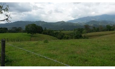 VENTA FINCA RESTREPO META. 19 HECTAREAS, CASAS, PISCINA