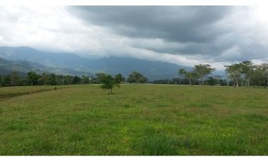 VENTA FINCA RESTREPO META. 19 HECTAREAS, CASAS, PISCINA