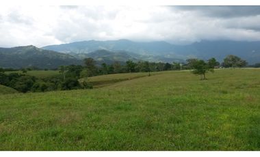 VENTA FINCA RESTREPO META. 19 HECTAREAS, CASAS, PISCINA