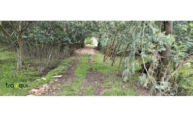 Venta  Finca La Mina Nemocón