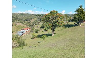 VENTA DE FINCA