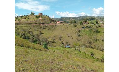 VENTA DE FINCA