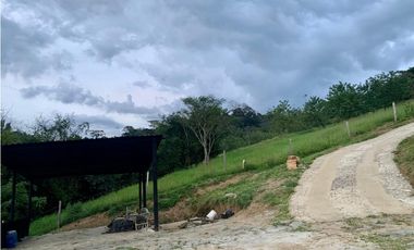 Finca en Venta en Amaga, sector Camilo C