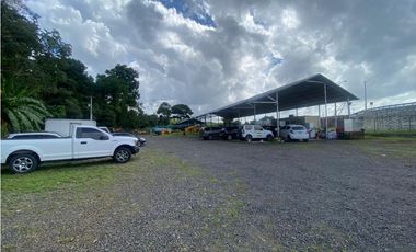 PEDREGAL / TERRENO COMERCIAL / PLAZA TERRANOVA / 702M /J