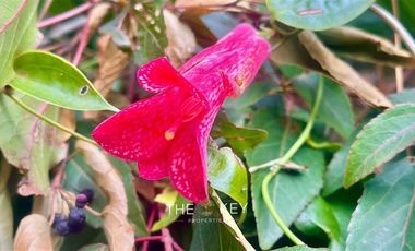 Agrícola en Venta en Temuco - Cerro Ñielol