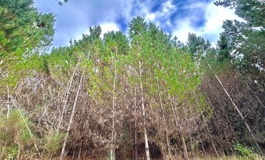 Sitio en Venta en Temuco - Cerro Ñielol