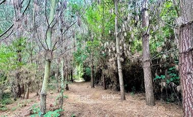 Sitio en Venta en Temuco - Cerro Ñielol