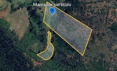 Sitio en Venta en Sector Los Mellizos, Nacimiento