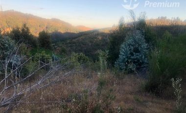 Sitio en Venta en Sector Los Mellizos, Nacimiento
