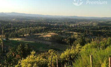 Sitio en Venta en Sector Los Mellizos, Nacimiento