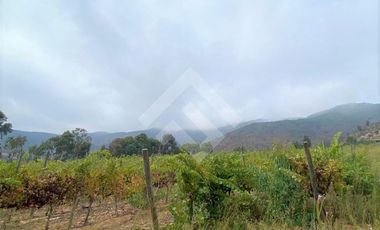 Agrícola en Venta en Sector Cholqui