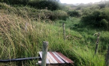 Agrícola en Venta en Sector Los Mellizos, Nacimiento