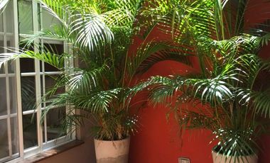 VENTA CASA 470 M2 RAMOS MEJIA