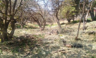 Terreno comercial en venta en Unidad habitacional Morelos