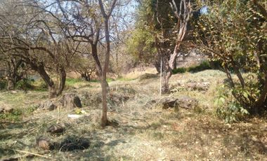 Terreno comercial en venta en Unidad habitacional Morelos