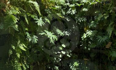 Departamento en venta en Polanco