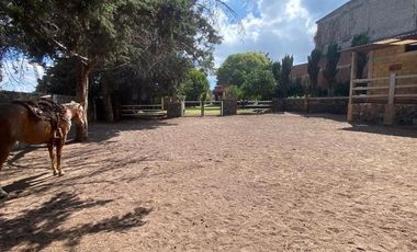 Renta casa tipo rancho