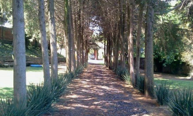 Renta casa tipo rancho