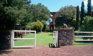 Renta casa tipo rancho