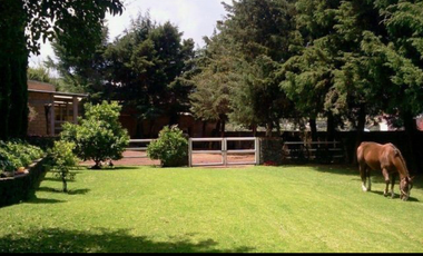 Renta casa tipo rancho