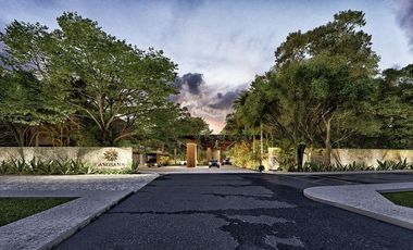 Departamento en venta Mérida Yucatán, Angsana Residencial Hacienda Xcanatún