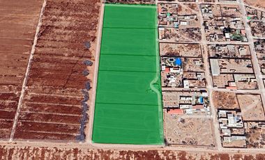 TERRENO USO MIXTO EN VENTA, EN EJIDO EL OLIVO TORREÓN-MATAMOROS COAH.