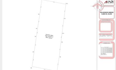 TERRENO USO MIXTO EN VENTA, EN EJIDO EL OLIVO TORREÓN-MATAMOROS COAH.