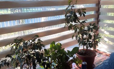 SE VENDE CASA EN LABRANZA, TEMUCO