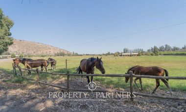 Espectacular haras de 18 hás con excelente ubicación en Calera de Tango