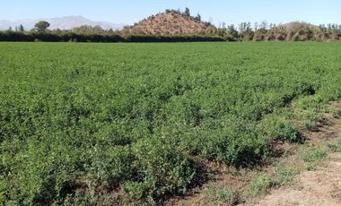 Terreno en arriendo cercano a la nueva ubicación de Fantasilandia (real oportunidad)
