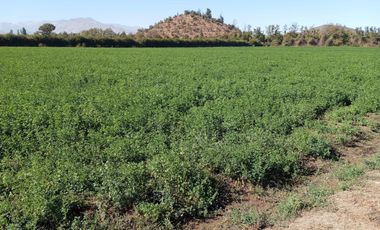 Terreno en arriendo cercano a la nueva ubicación de Fantasilandia (real oportunidad)