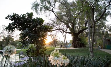 Departamento en Venta el Carmen Atlixco