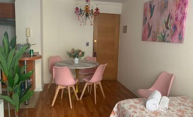 Vende departamento santiago