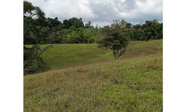 ideal para Proyecto de Parcelación - Finca en Venta - Cajibio